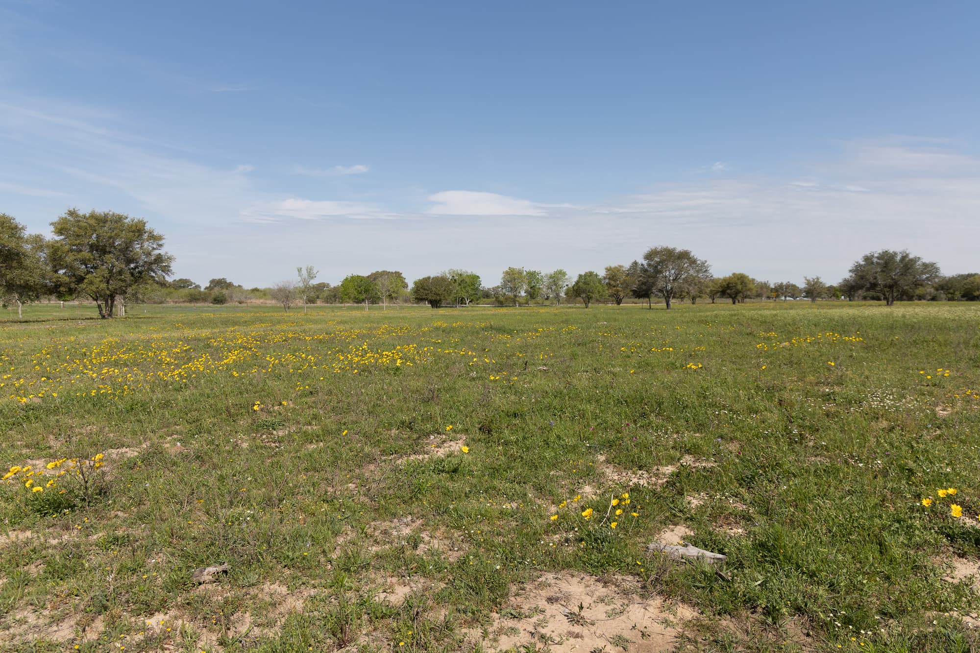 Lots 1-5 FM 531 / CR 430, Hallettsville, TX 77964 — public listing photo 21
