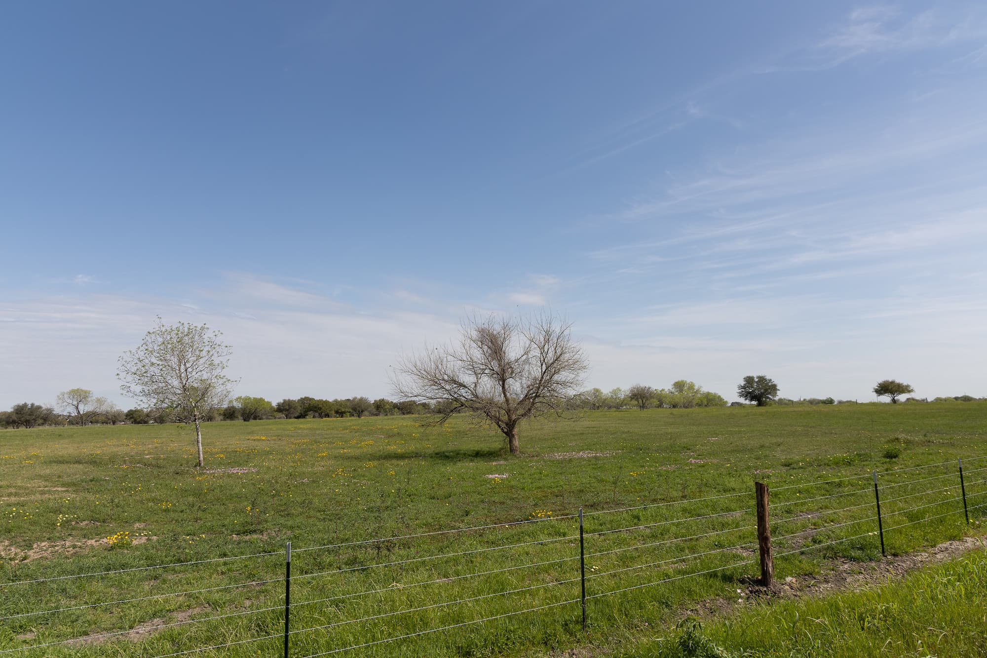 Lots 1-5 FM 531 / CR 430, Hallettsville, TX 77964 — public listing photo 22