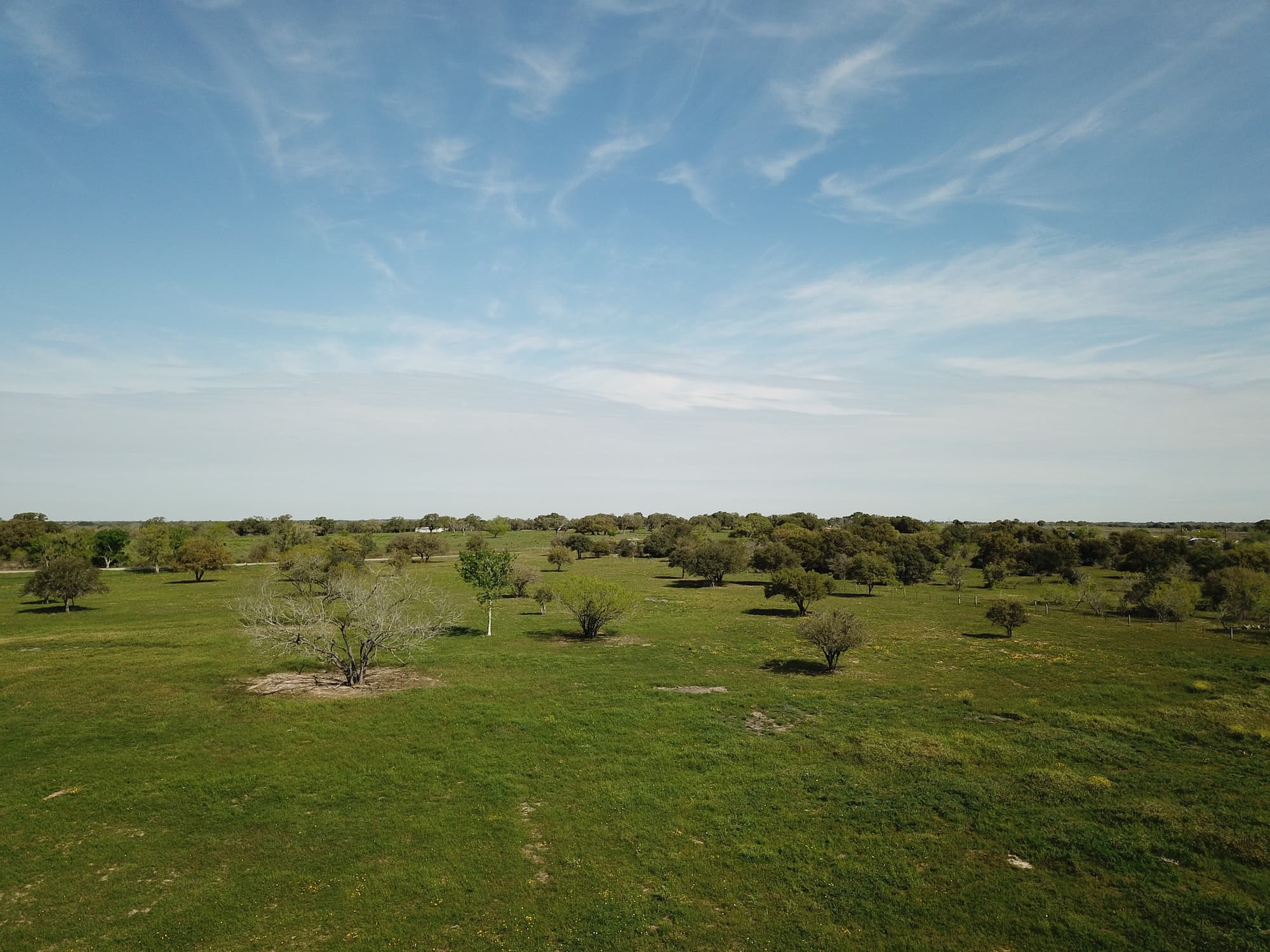 Lots 1-5 FM 531 / CR 430, Hallettsville, TX 77964 — public listing photo 26