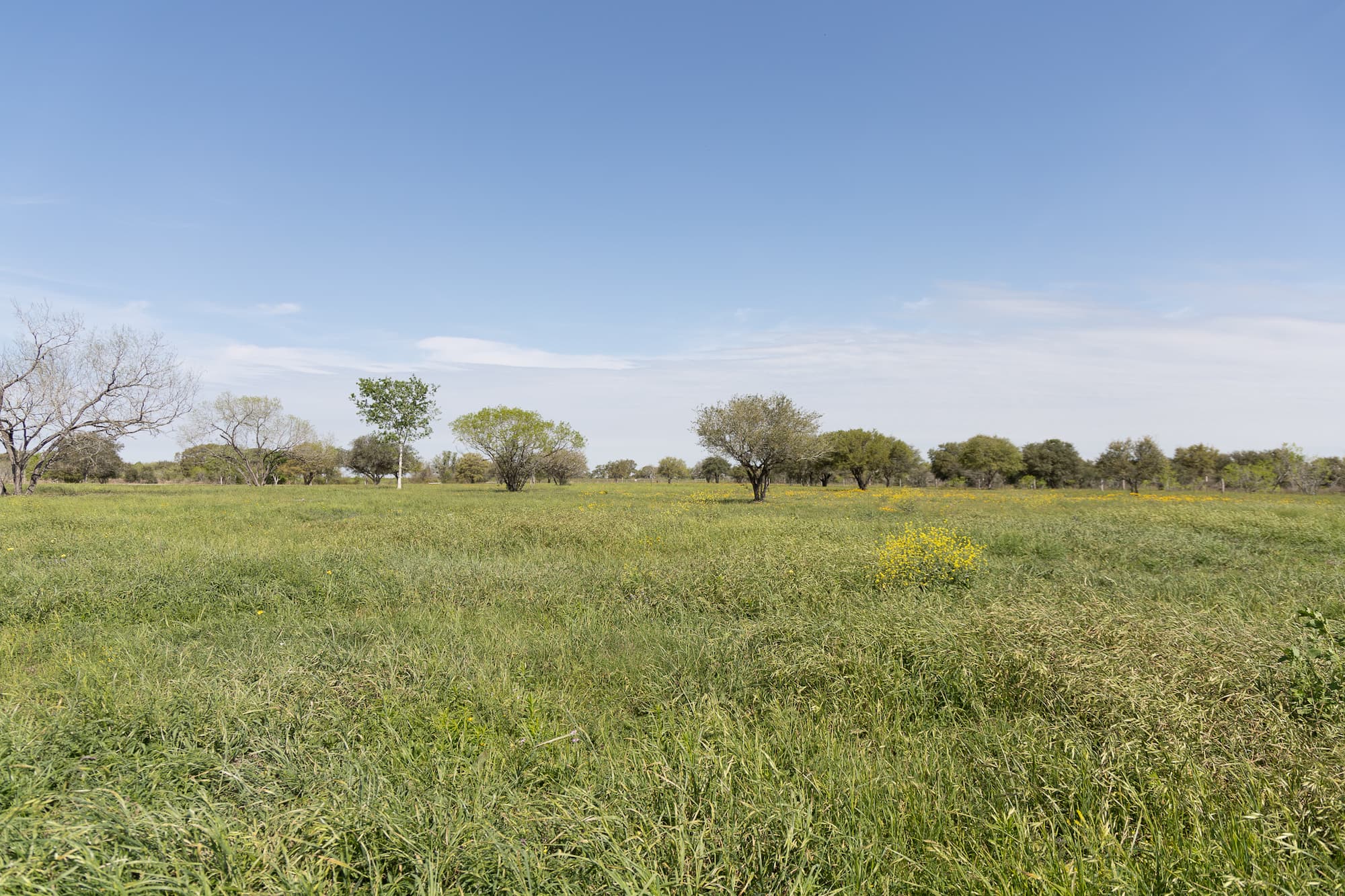 Lots 1-5 FM 531 / CR 430, Hallettsville, TX 77964 — public listing photo 27