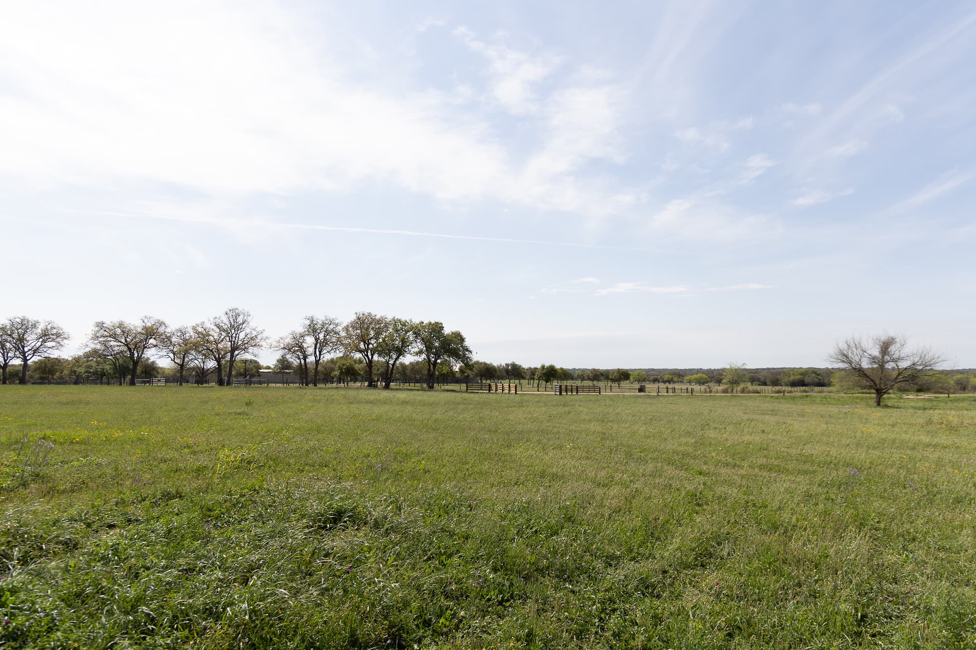 Lots 1-5 FM 531 / CR 430, Hallettsville, TX 77964 — public listing photo 28