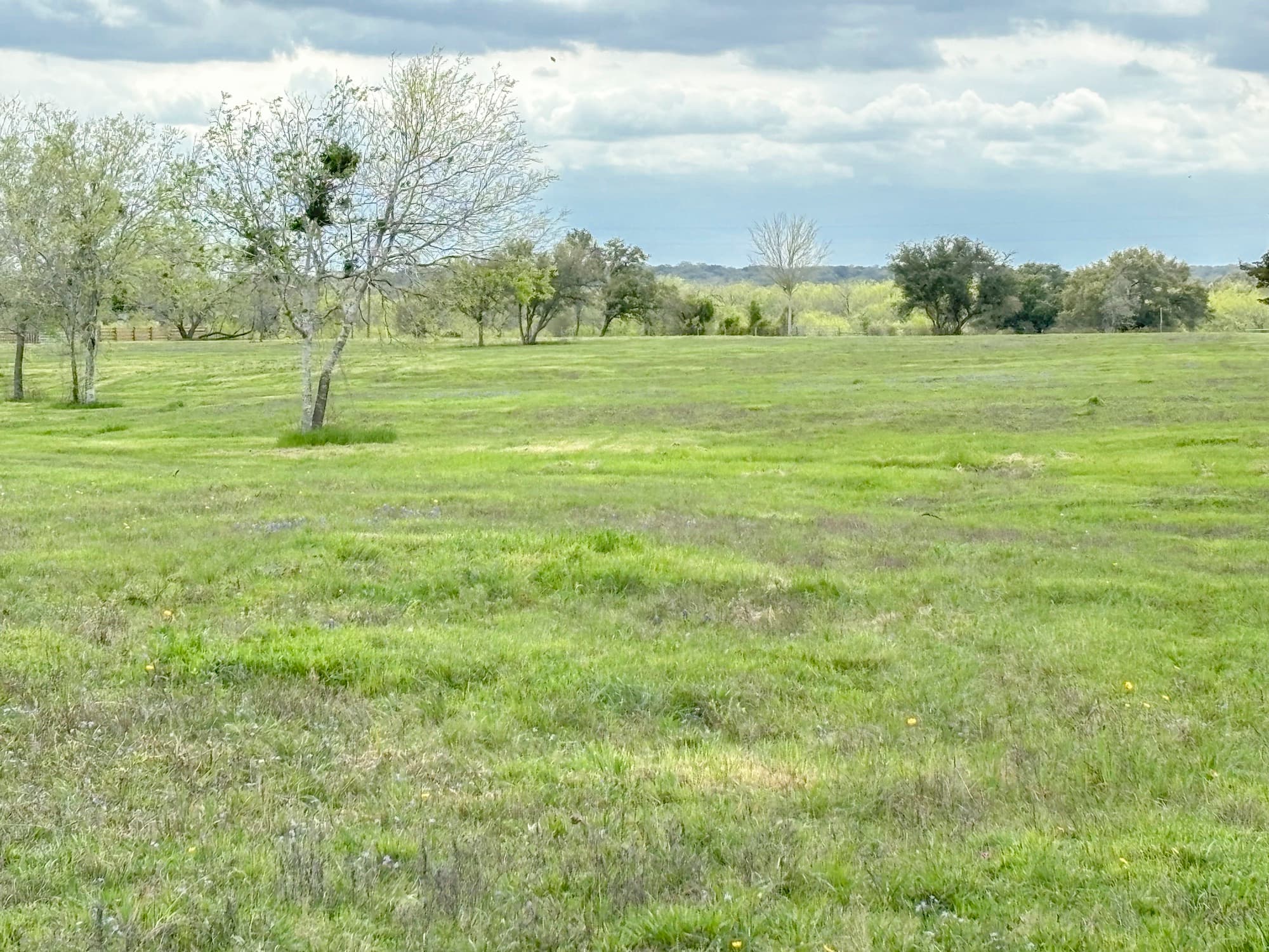 Lots 1-5 FM 531 / CR 430, Hallettsville, TX 77964 — public listing photo 34