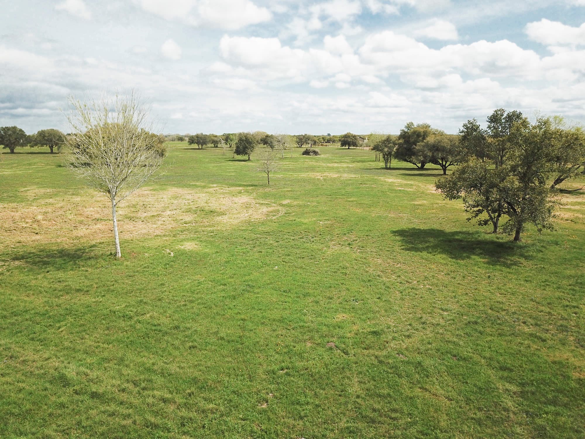 Lots 1-5 FM 531 / CR 430, Hallettsville, TX 77964 — public listing photo 43