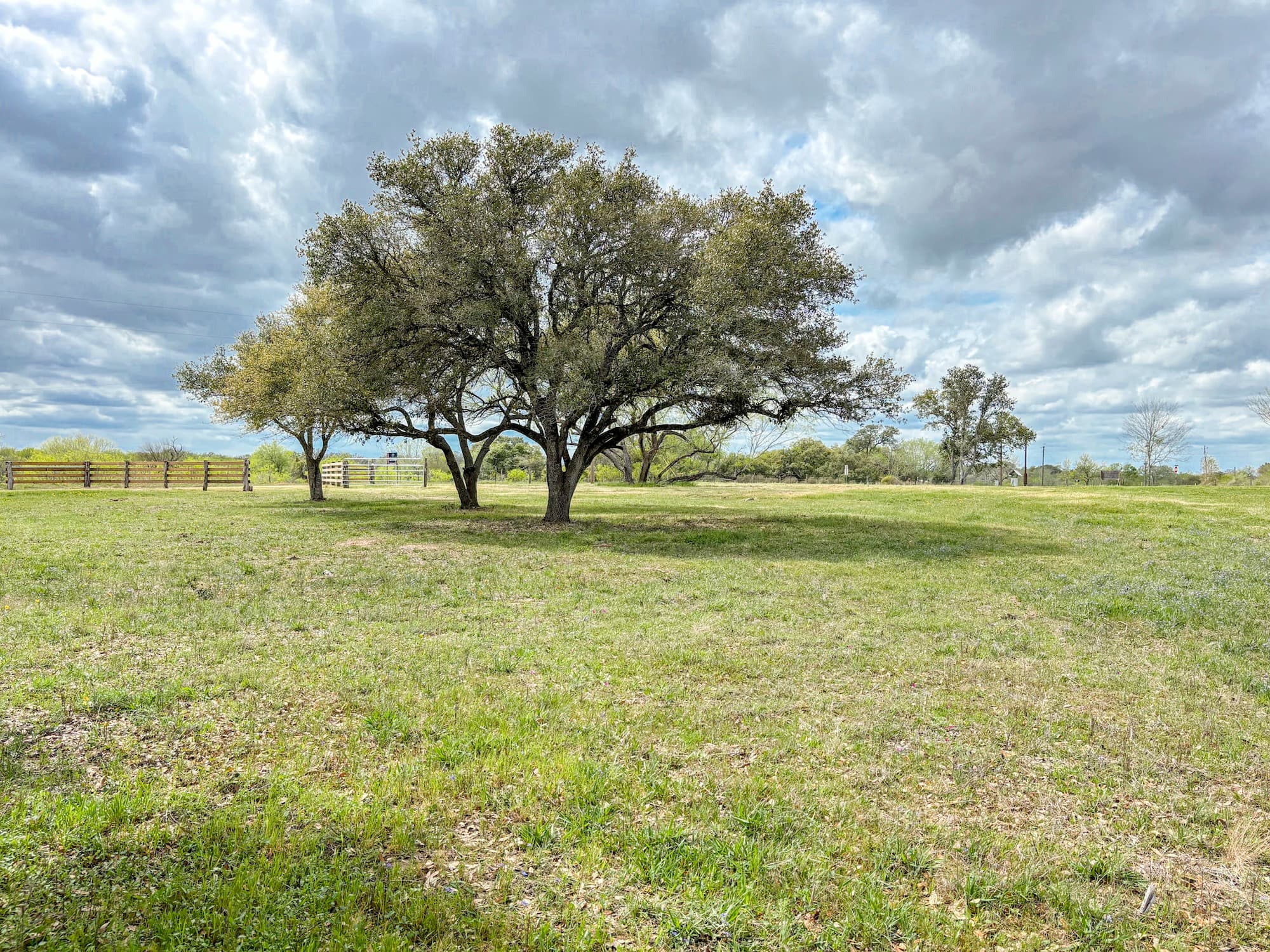 Lots 1-5 FM 531 / CR 430, Hallettsville, TX 77964 — public listing photo 44