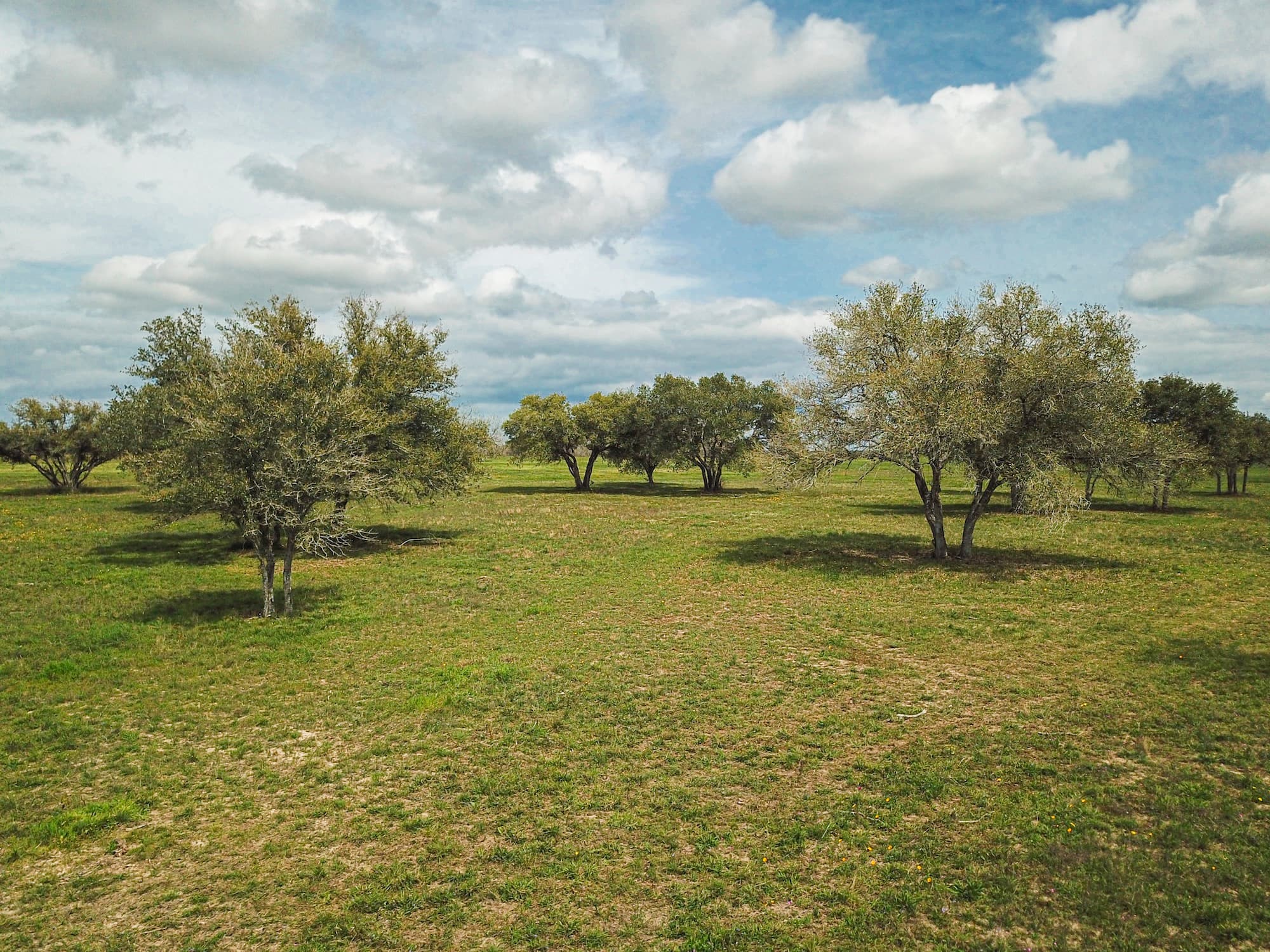 Lots 1-5 FM 531 / CR 430, Hallettsville, TX 77964 — public listing photo 54