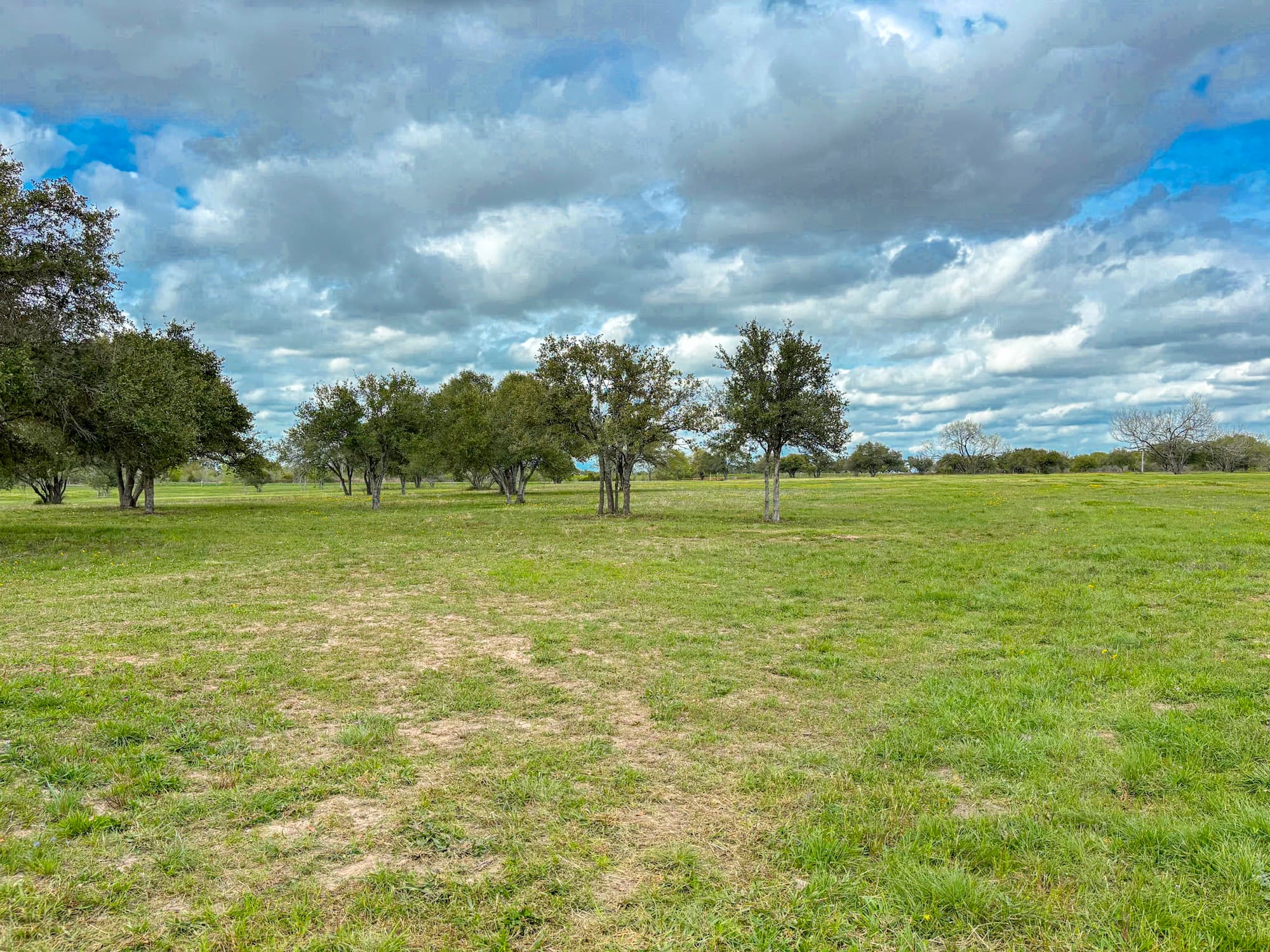Lots 1-5 FM 531 / CR 430, Hallettsville, TX 77964 — public listing photo 57