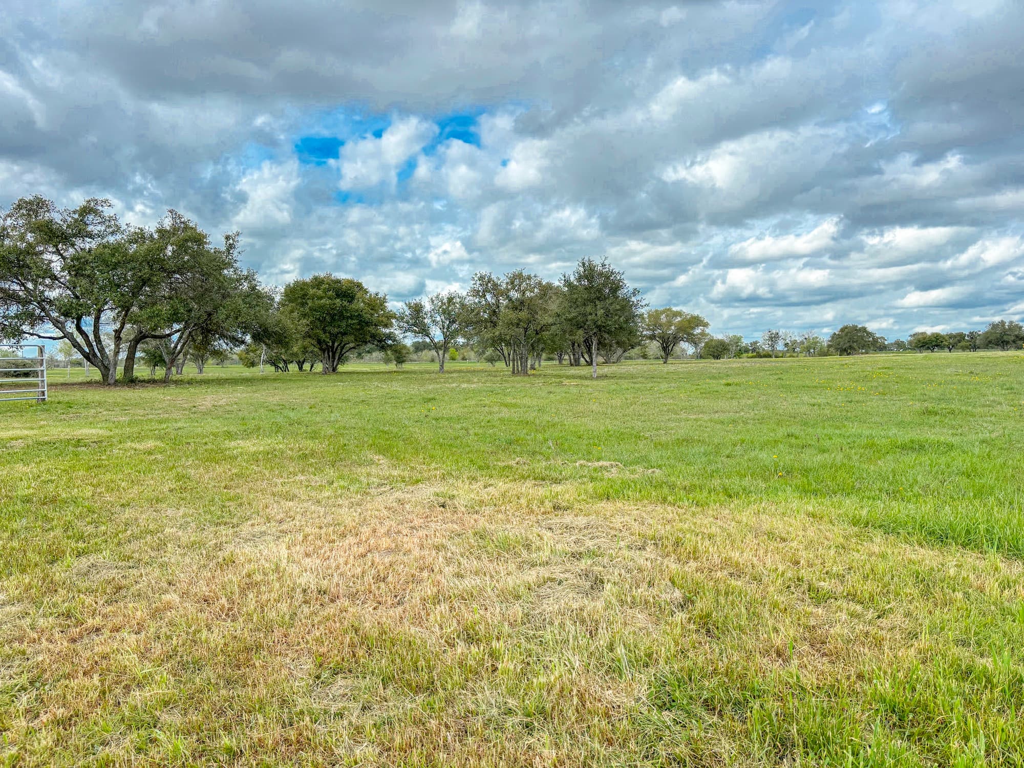 Lots 1-5 FM 531 / CR 430, Hallettsville, TX 77964 — public listing photo 59