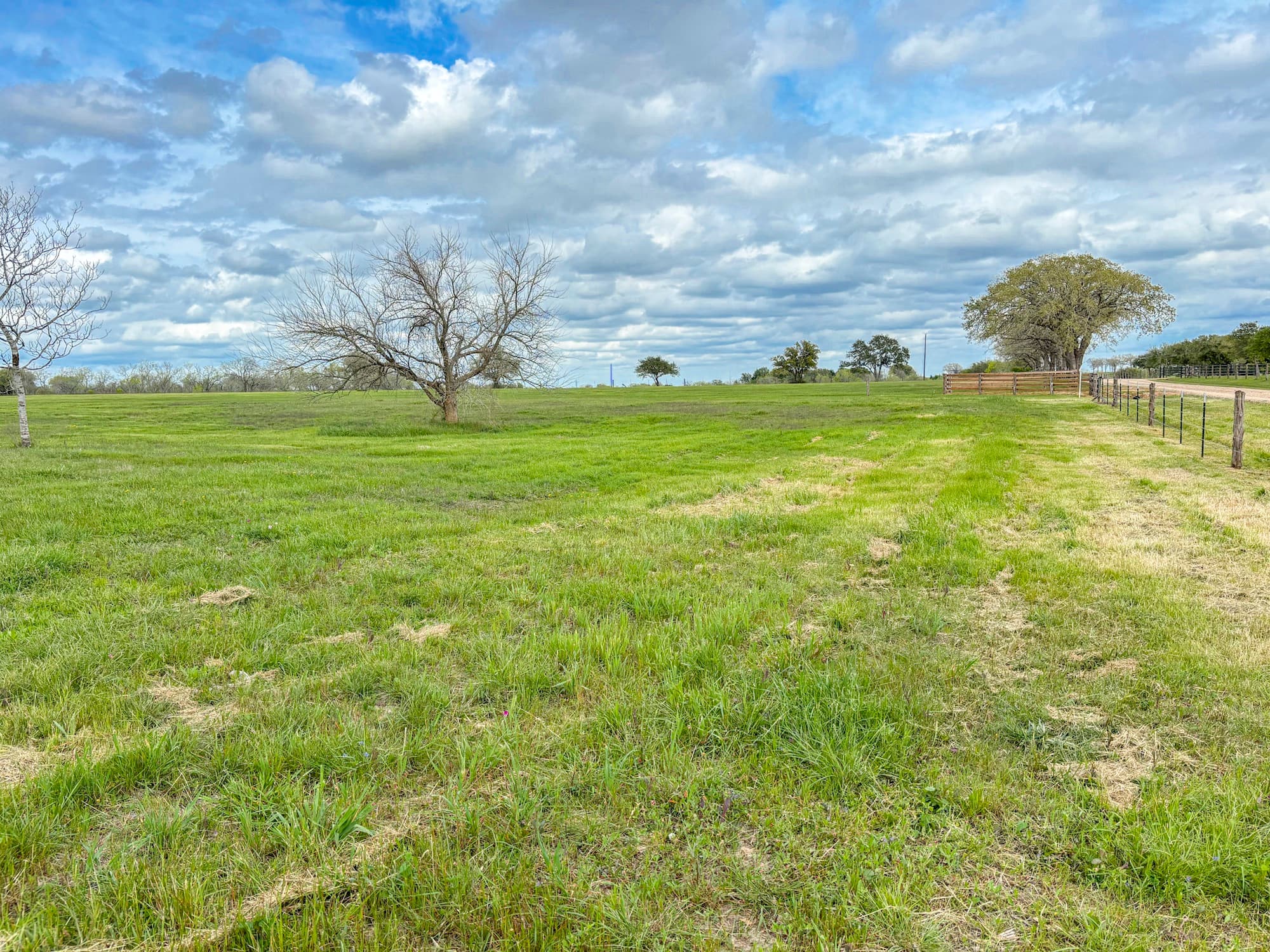 Lots 1-5 FM 531 / CR 430, Hallettsville, TX 77964 — public listing photo 60
