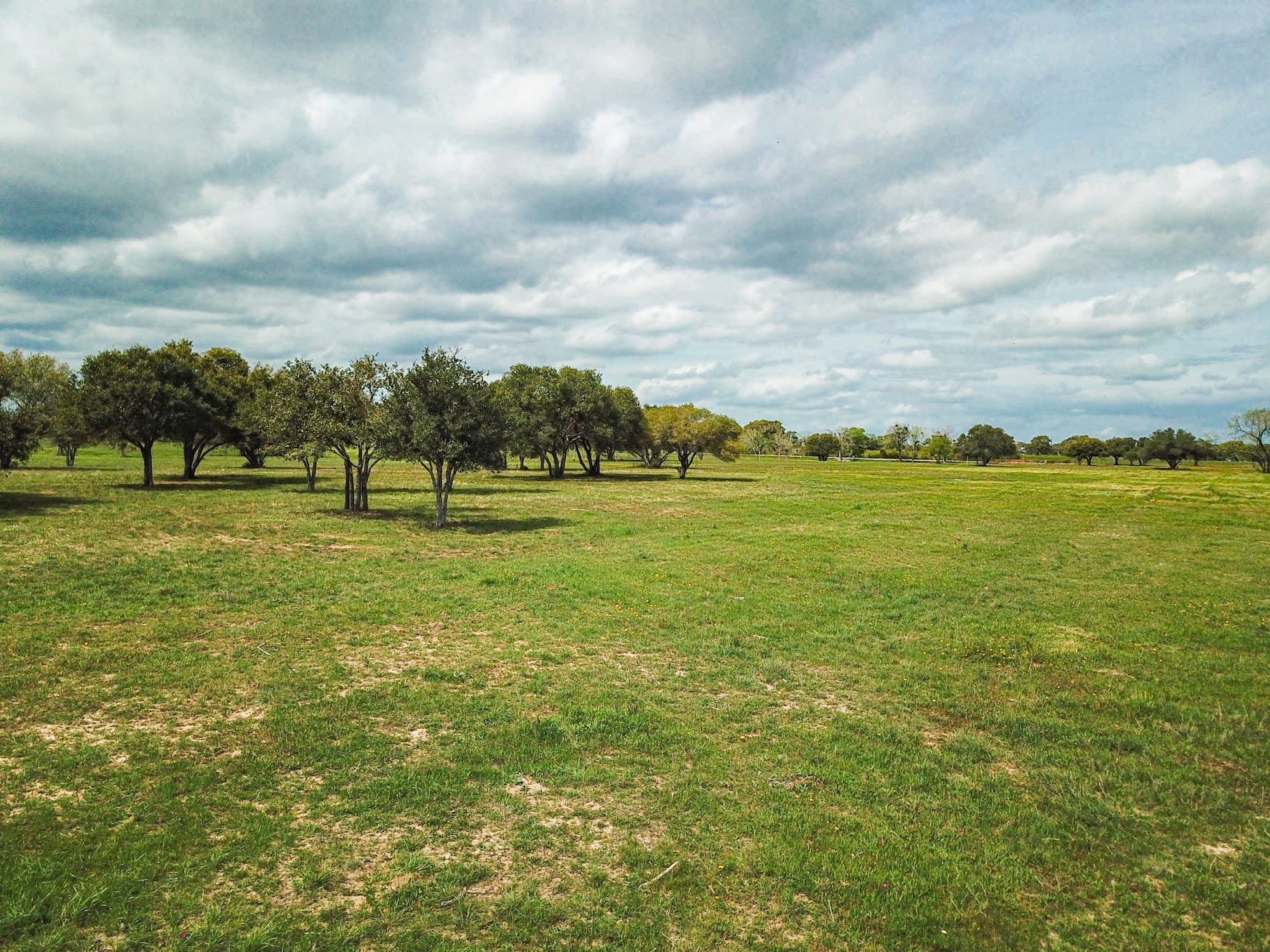 Lots 1-5 FM 531 / CR 430, Hallettsville, TX 77964 — public listing photo 61