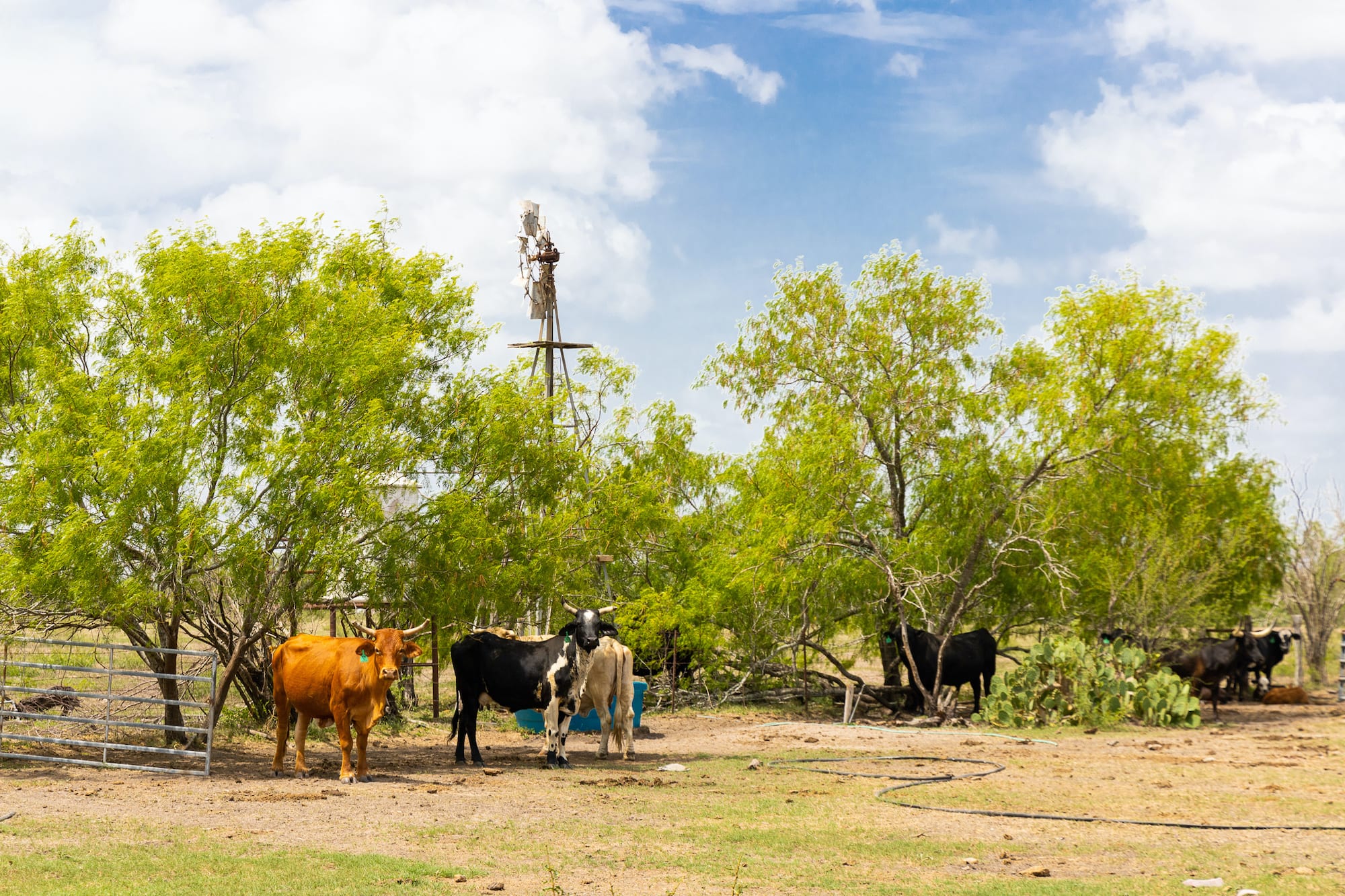 000 FM 2043, Goliad TX