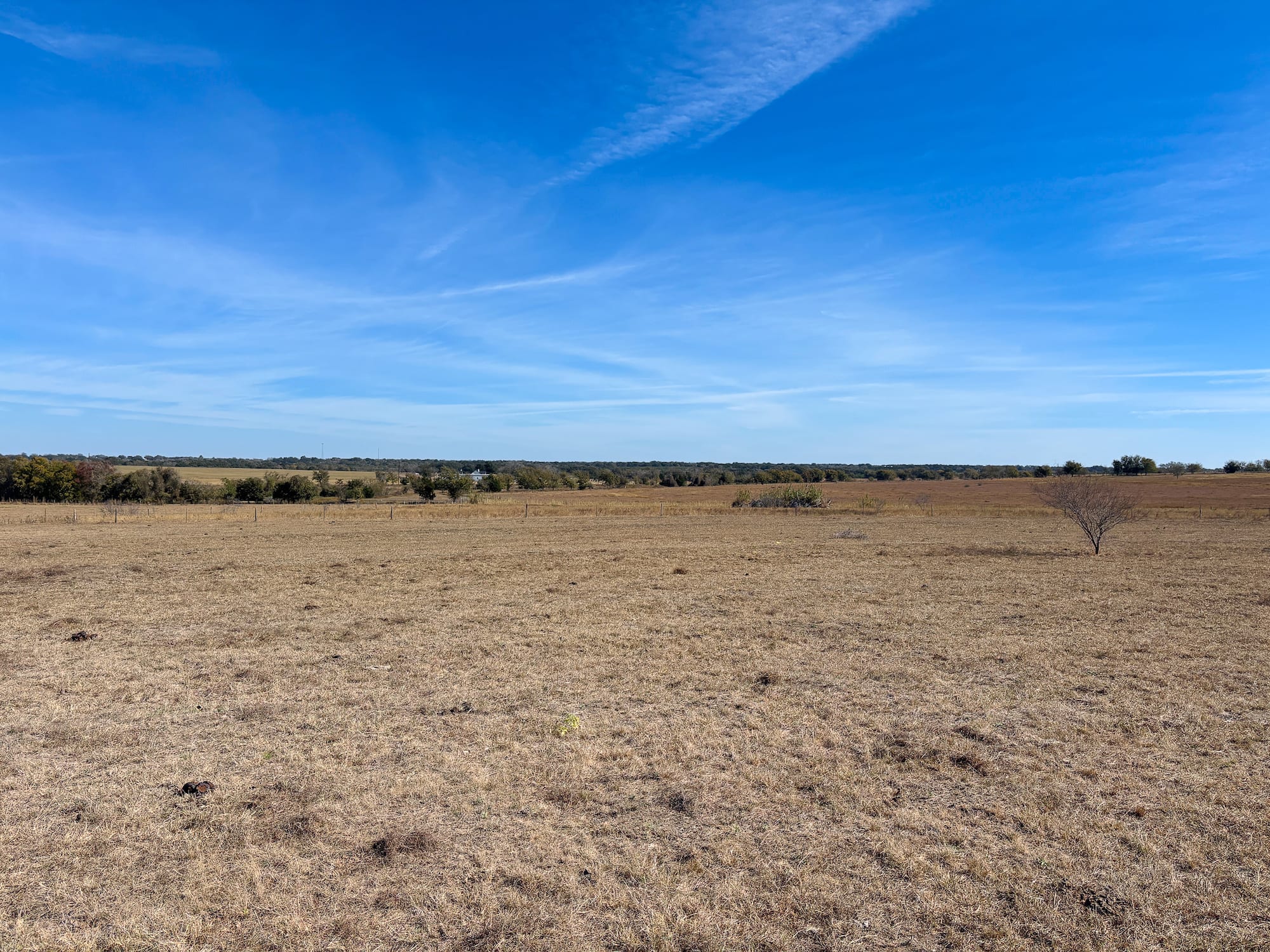 1052 CR 368, Shiner