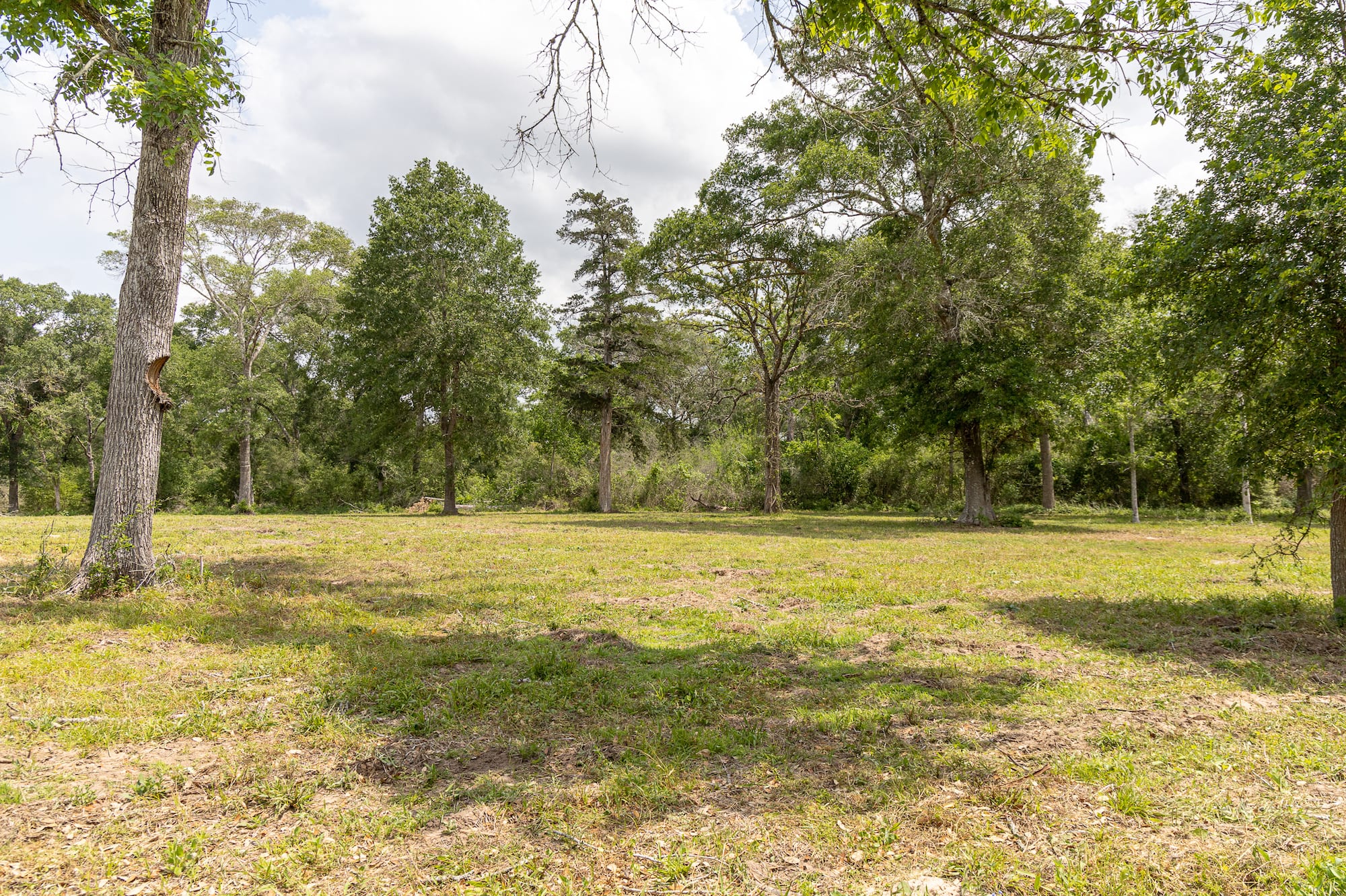 8689 CR 132, Hallettsville, TX 77964