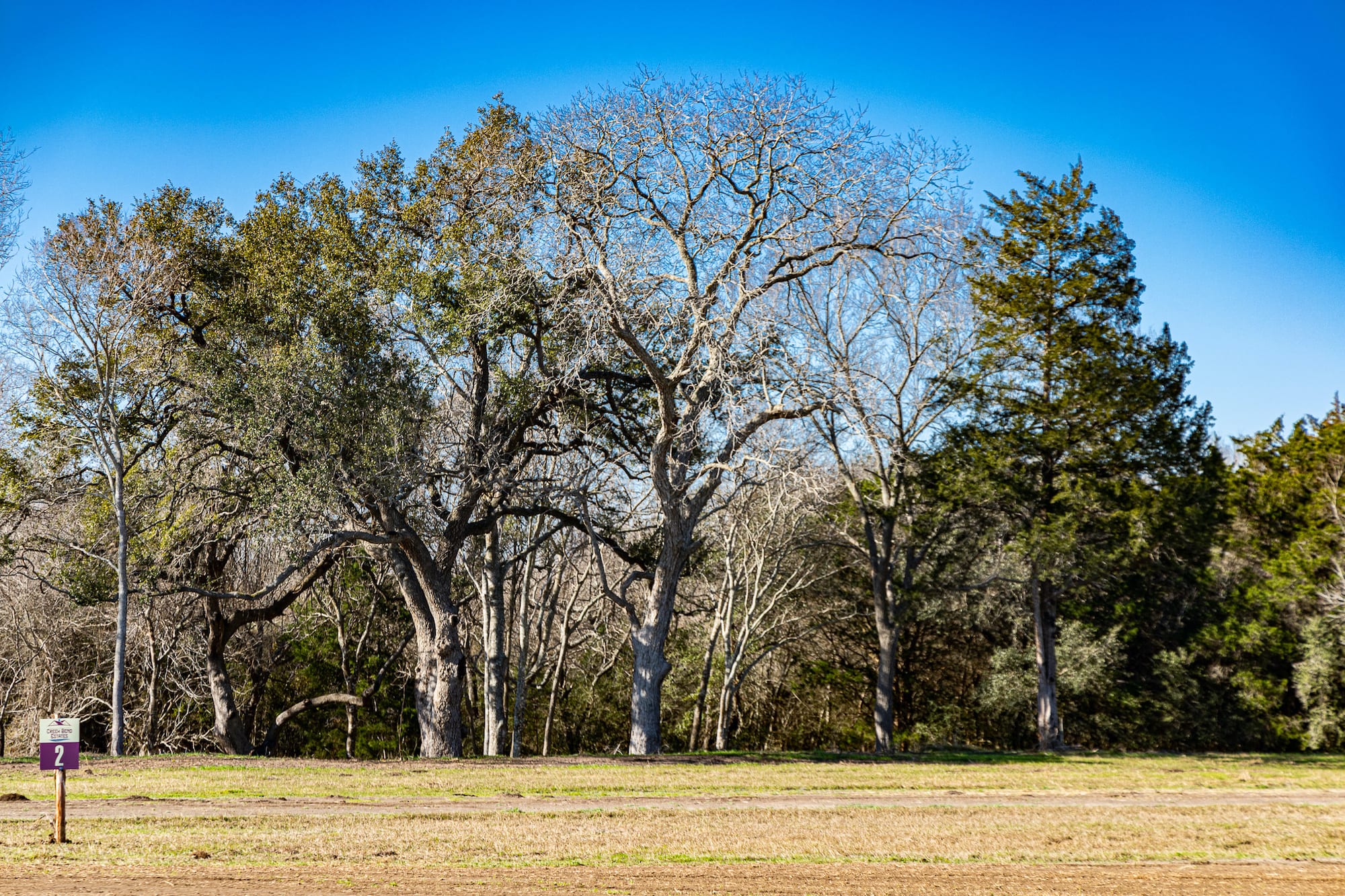 Lots 1-14 Creek Bend Estates, CR 362, Shiner