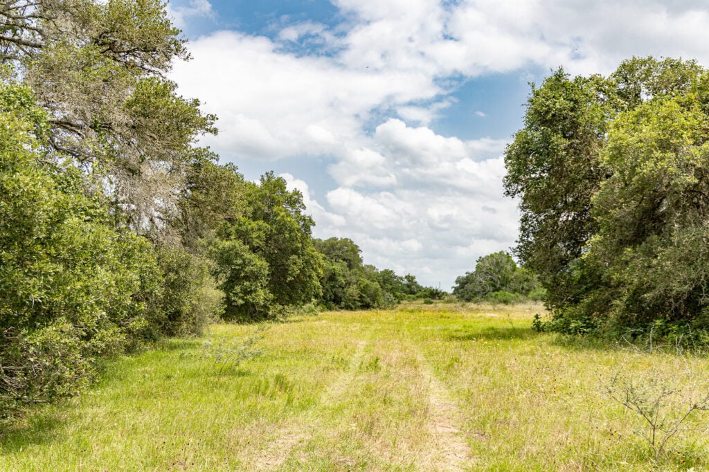 000 CR 240, Hallettsville, TX 77964 — public listing photo 1