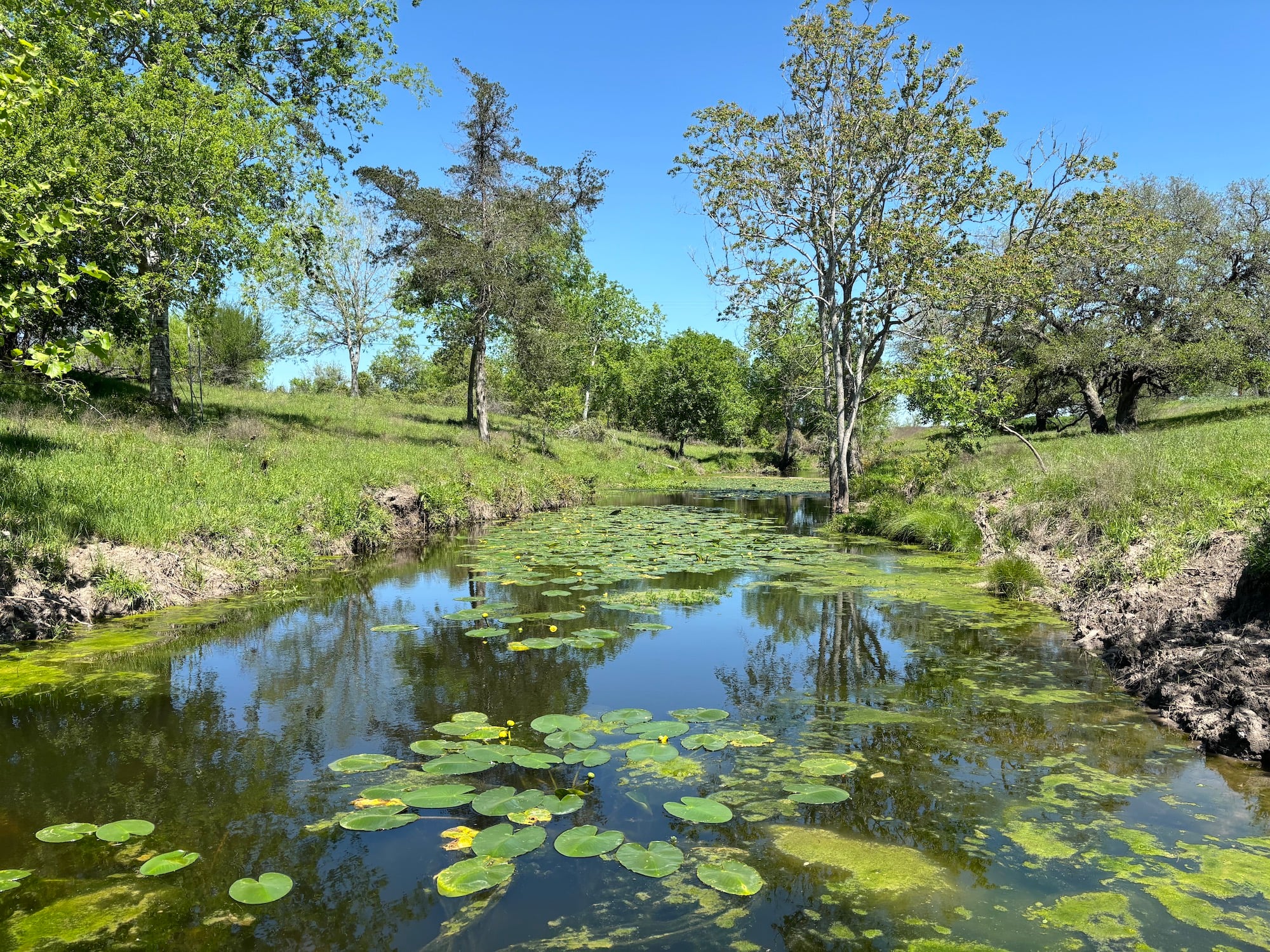 1102 FM 3435, Shiner — public listing photo 1