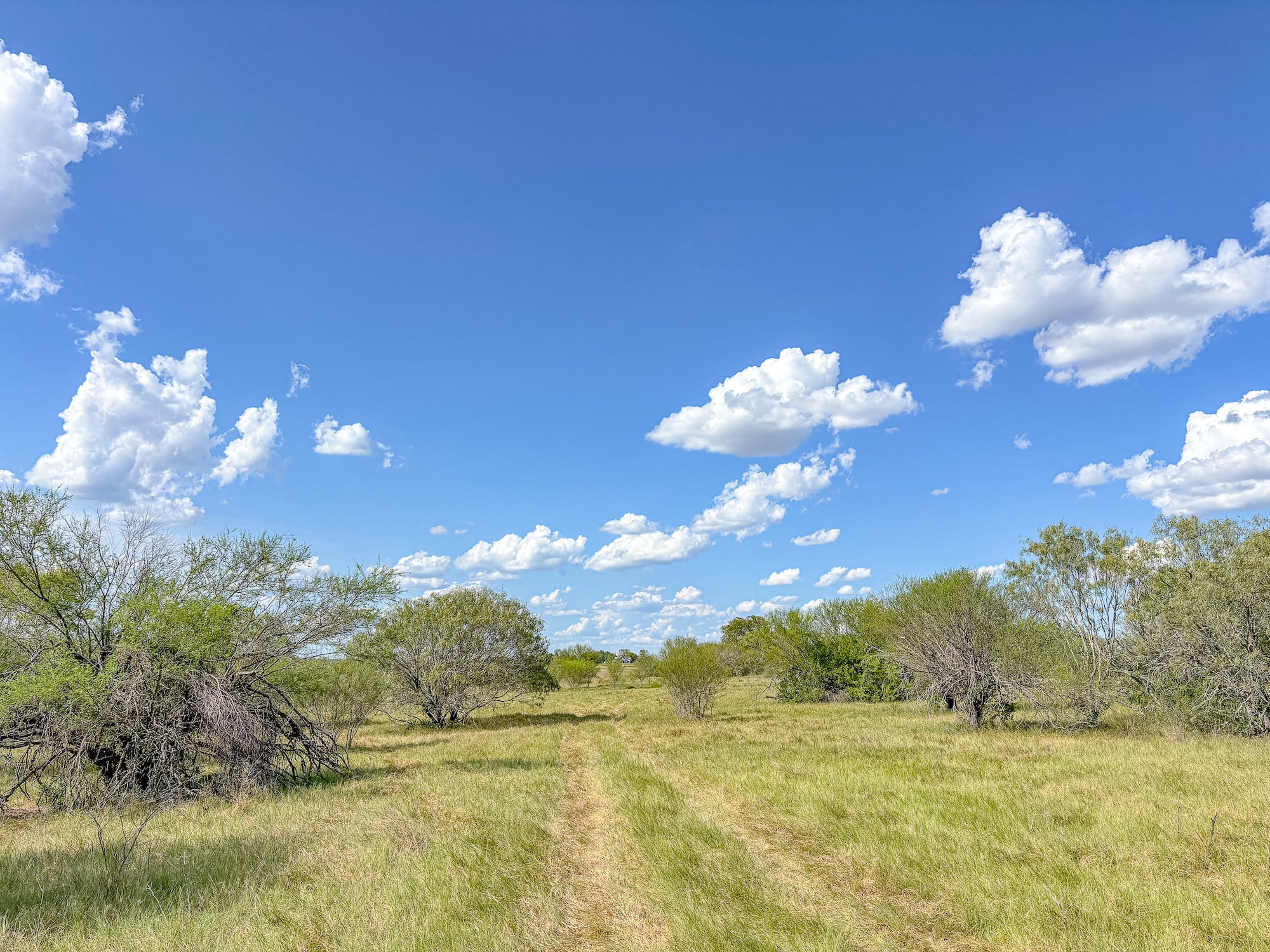 2181 C R 374, Shiner TX 77984 — public listing photo 1